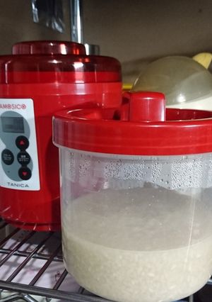 KAMOSIKOで甘麹(甘酒の素 )1-レシピのメイン写真