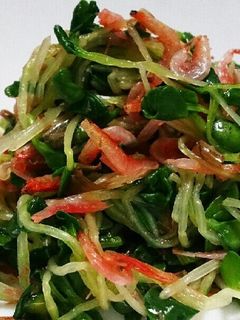 お弁当おかず簡単☆カイワレ桜えび合え-レシピのメイン写真