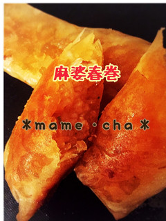 麻婆春巻き-レシピのメイン写真