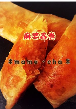 麻婆春巻き-レシピのメイン写真