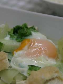 シロ菜とうす揚げのあっさり煮-レシピのメイン写真