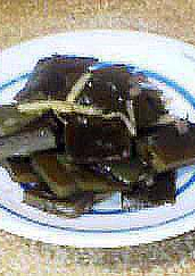 だしがら昆布の佃煮-レシピのメイン写真
