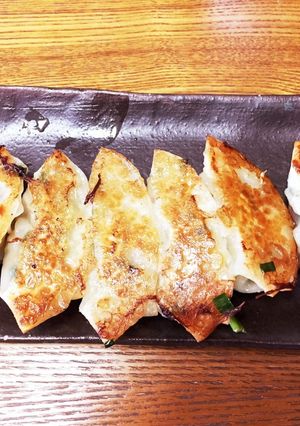 野菜たっぷり餃子-レシピのメイン写真