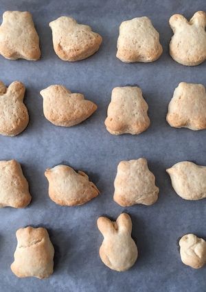 卵乳なし！アレルギーの子用クッキー☆-レシピのメイン写真