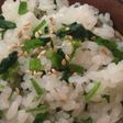 簡単!春の香り♡セリごはん