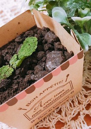 植木鉢チョコムース-レシピのメイン写真