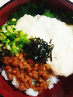 大和芋とろろ納豆丼-レシピのメイン写真