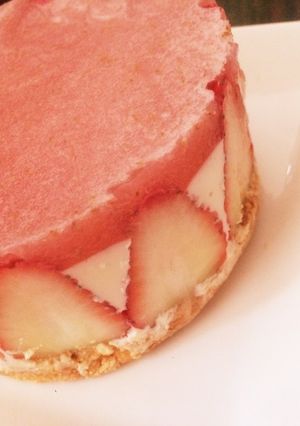 簡単 レアチーズケーキ-レシピのメイン写真
