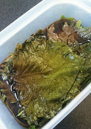 長期保存！大葉の醤油漬け-レシピのメイン写真