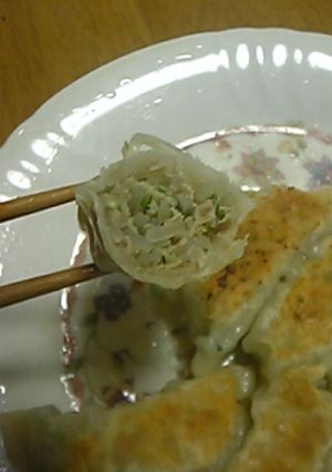我家の定番☆鶏肉の春雨入り餃子-レシピのメイン写真