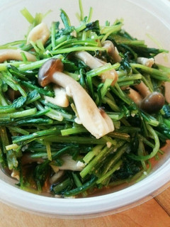 簡単!みぶ菜としめじの醤油塩麹炒め-レシピのメイン写真