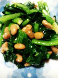 ほうれん草の 納豆 和え-レシピのメイン写真