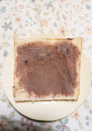 アンバターサンド（写真焼く前）-レシピのメイン写真