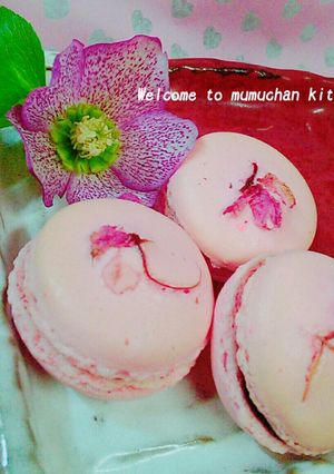 春の香り❀フワフワ桜マカロン♡-レシピのメイン写真