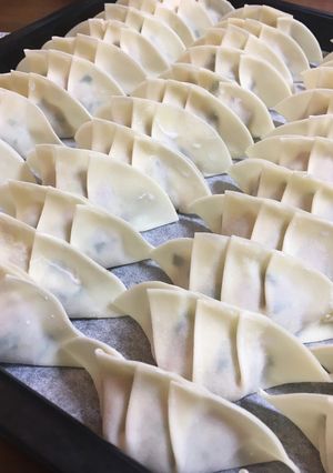 簡単シンプル餃子-レシピのメイン写真