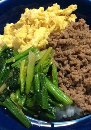 お弁当や時短ご飯に！簡単3色そぼろご飯✨-レシピのメイン写真