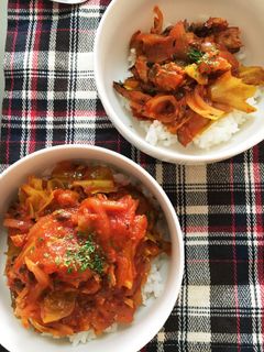 簡単!子供と作るさんま缶のトマト煮丼-レシピのメイン写真