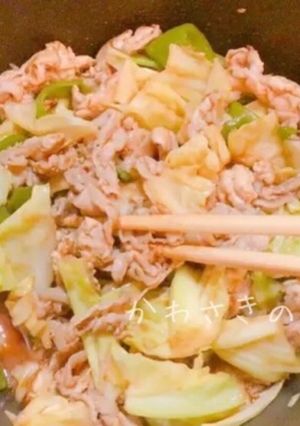 簡単肉野菜炒め☆-レシピのメイン写真