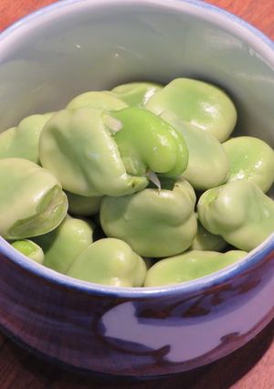 空豆の美味しい茹で方-レシピのメイン写真