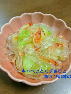 *キャベツとくずきりと桜えびの酢の物*-レシピのメイン写真