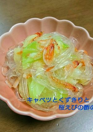 ＊キャベツとくずきりと桜えびの酢の物＊-レシピのメイン写真