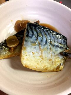 フライパンで鯖の煮付け-レシピのメイン写真