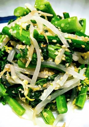 アスパラ菜ともやし♪胡麻味噌レモン和え♪-レシピのメイン写真