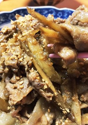ごまがうまい！豚肉とゴボウの甘辛炒め煮♪-レシピのメイン写真