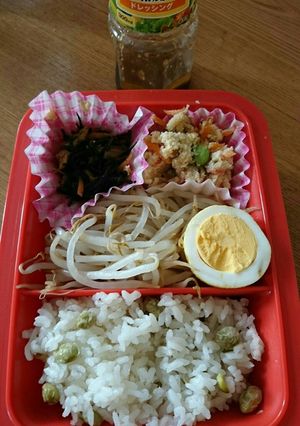 本当に痩せたパパお弁当糖質制限作り置き-レシピのメイン写真