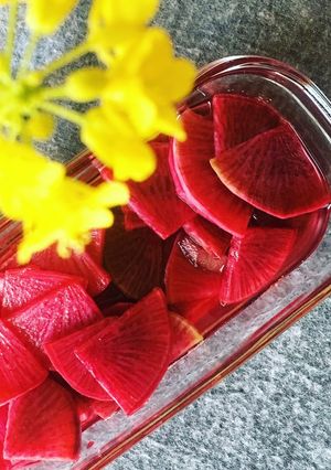 **赤大根(紅くるり大根)の甘酢漬け**-レシピのメイン写真