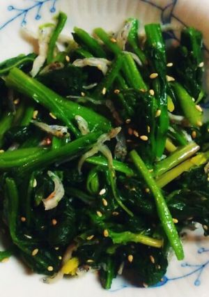 ほうれん草とじゃこ胡麻和え-レシピのメイン写真