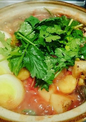 好きなだけ野菜のトマト鍋！パクチー鍋！-レシピのメイン写真