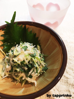 簡単おつまみ☆かいわれとしらすの胡麻和え-レシピのメイン写真
