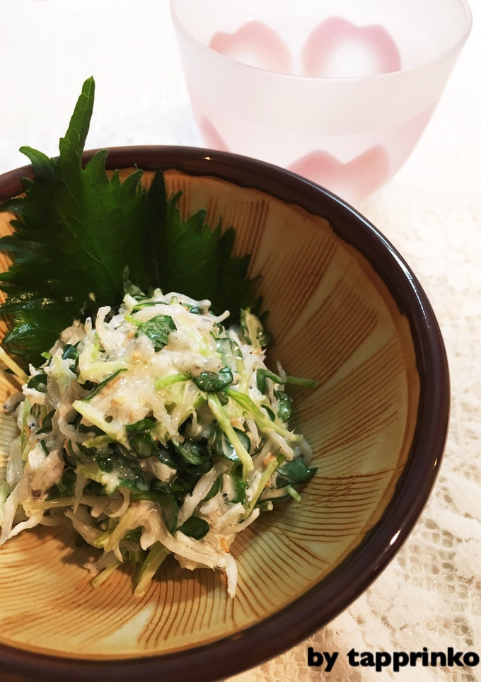 簡単おつまみ☆かいわれとしらすの胡麻和え-レシピのメイン写真
