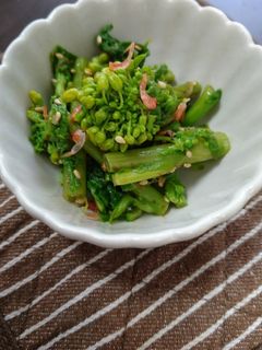 簡単❀菜の花のおかか胡麻和え-レシピのメイン写真