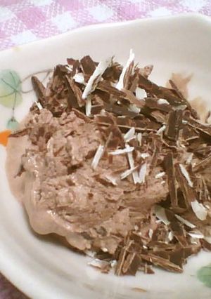 チョコアイス-レシピのメイン写真