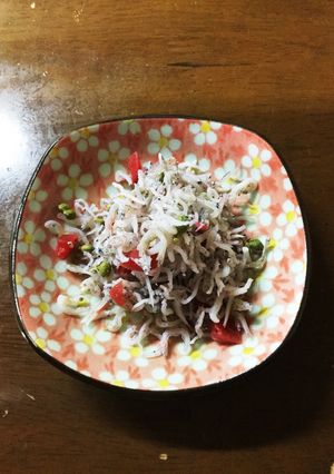 簡単梅ちりめん山椒-レシピのメイン写真