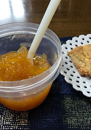 甘夏のマーマレード-レシピのメイン写真
