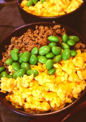 豚そぼろ丼-レシピのメイン写真