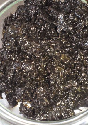 海苔のつくだ煮＊手作り（生海苔）-レシピのメイン写真