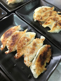 手作り餃子-レシピのメイン写真