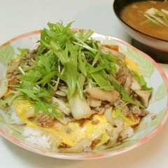 รูปของ 給料日前のサッと丼