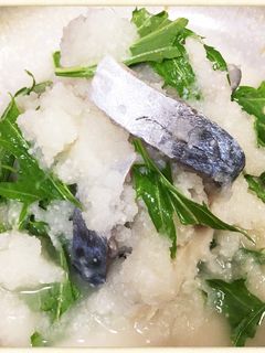 みぞれしめ鯖-レシピのメイン写真