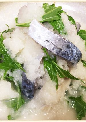 みぞれしめ鯖-レシピのメイン写真