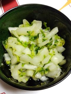 白菜の簡単お漬物-レシピのメイン写真