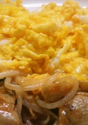 卵をのせてもやし鶏もも肉のケチャップ炒め-レシピのメイン写真