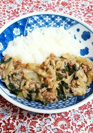 1才～取り分けOK✌よく食べる挽き肉丼-レシピのメイン写真
