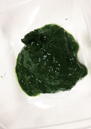 離乳食初期✨初ほうれん草ペースト✨-レシピのメイン写真
