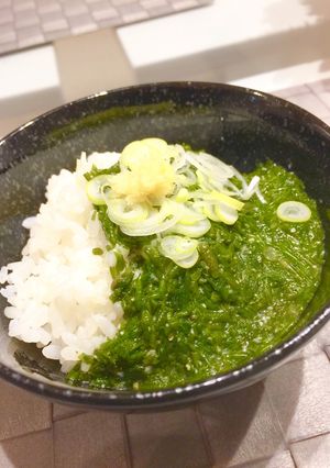 ながも（ギバサ、銀葉草）でとろろご飯-レシピのメイン写真