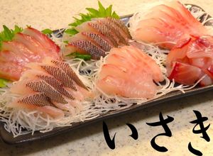 おウチで簡単・イサキのお刺身【動画あり】-レシピのメイン写真